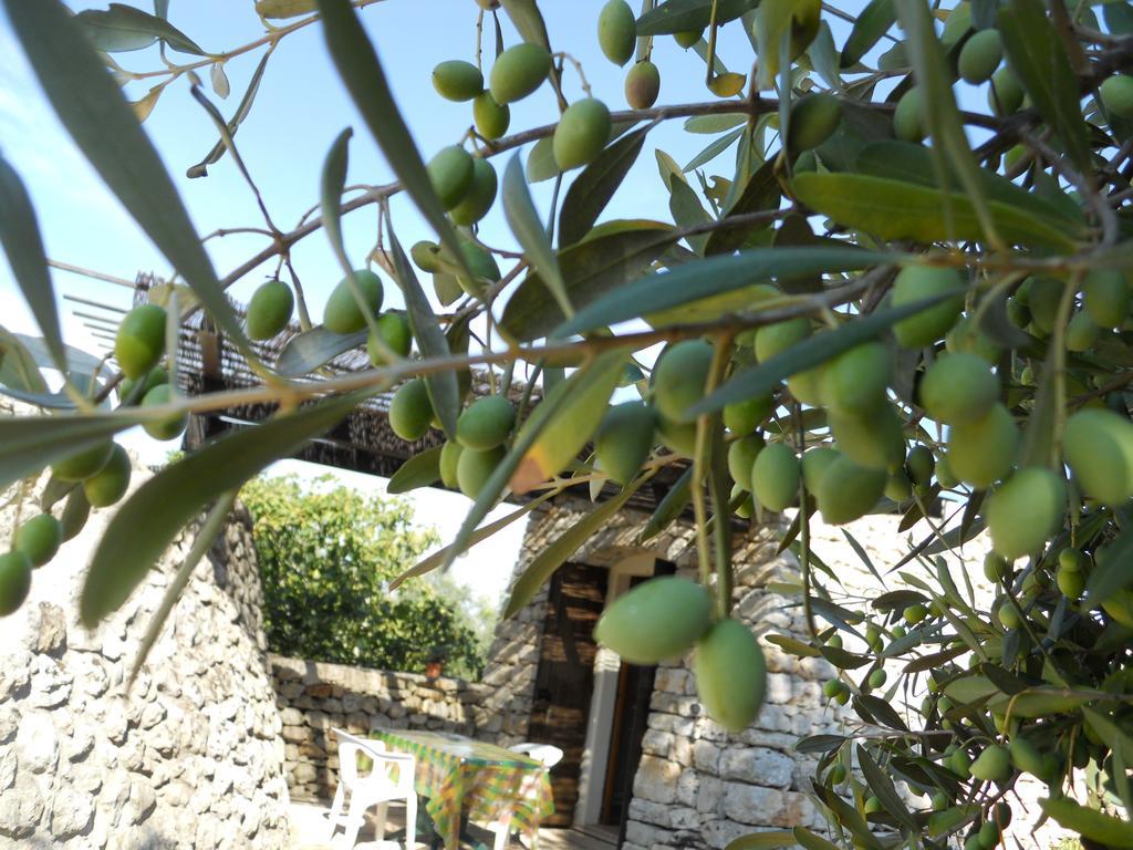 Agriturismo Specchiarussa Morciano di Leuca Cameră foto